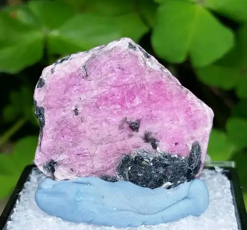 非洲红宝黑云母