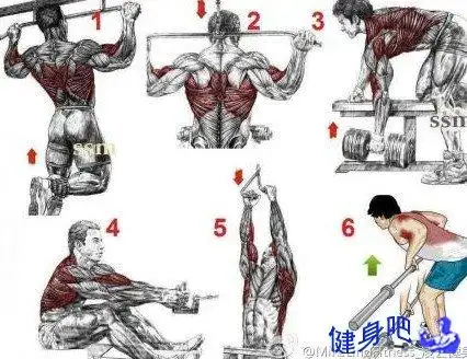 经典练背动作-健身吧
