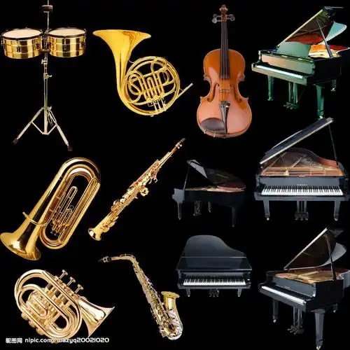 西洋 乐器图片