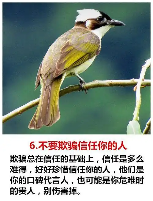 不要欺骗信任你的人(鸡汤美文)不要害怕压力,压力能激发潜力(鸡汤美文