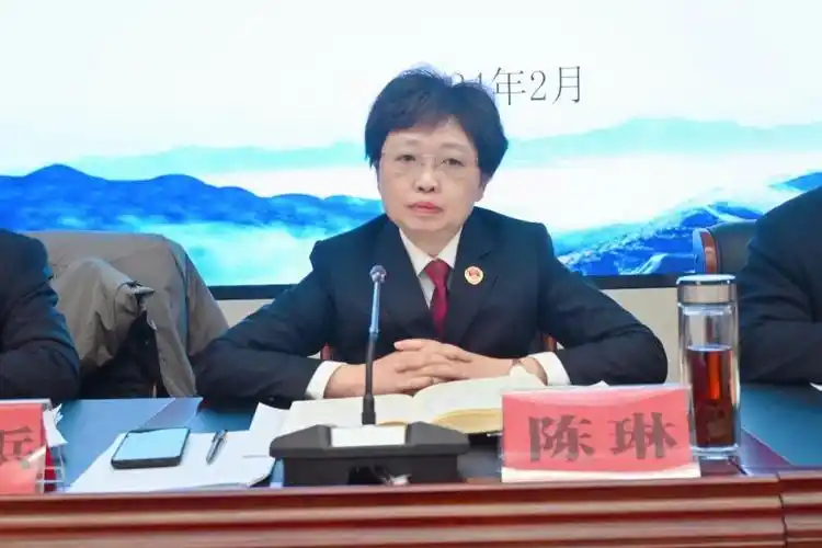 陈琳在总结讲话中,从去年怎么看,今年怎么干,春节怎么过等方面,总结了