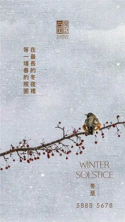 中国第一豪宅汤臣一品文案海报有多秀