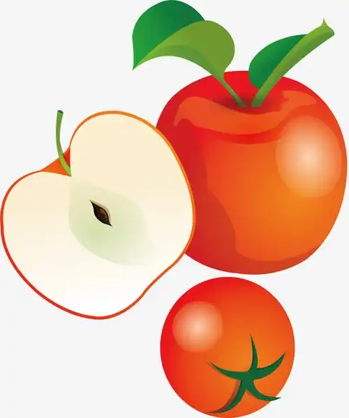 关键词 : 苹果矢量,果子,卡通,png,矢量,矢量元素