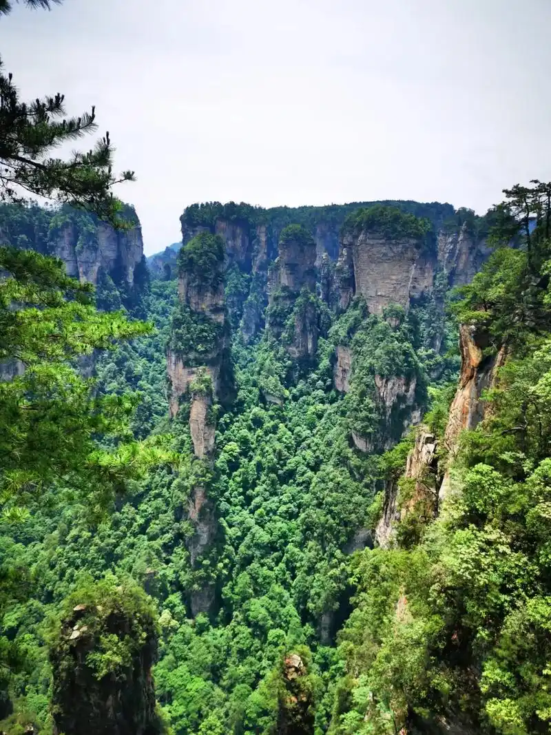 张家界国家森林公园(十)张家界国家森林公园的袁家界和天子山景 - 抖