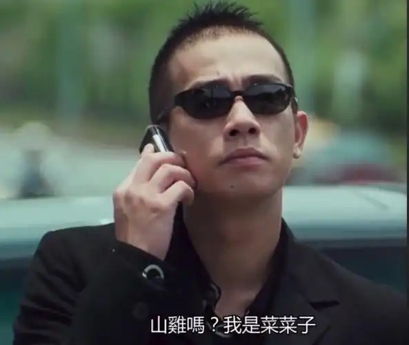 后b哥被害,他和兄弟为b哥报仇后,他跟随洪兴陈浩南