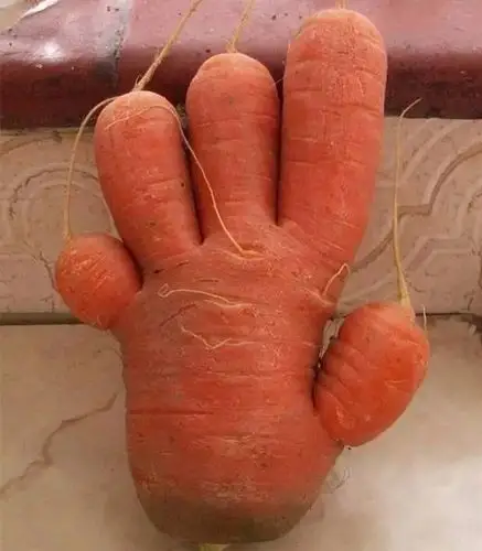 大哥这是什么操作能织毛衣的男人不多见了啊