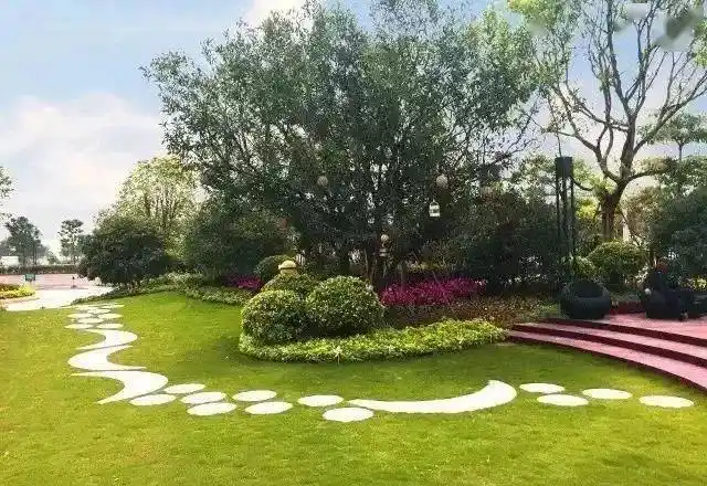 园林绿化小知识之五草坪的养护管理