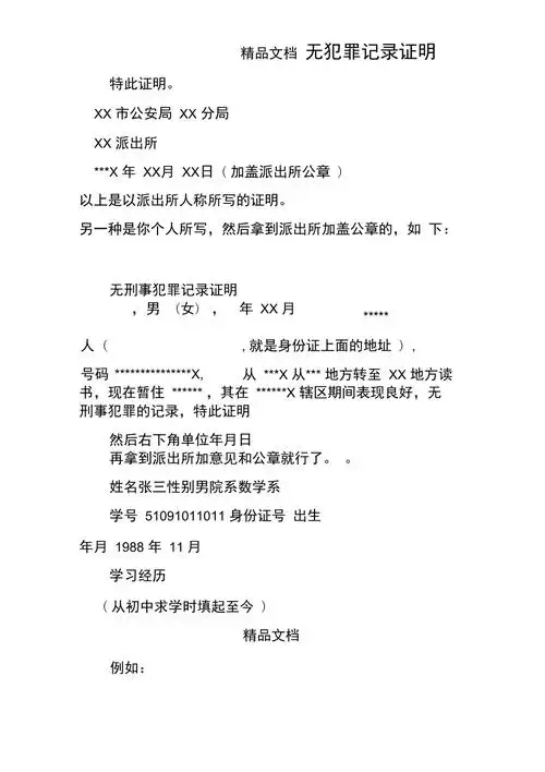 无犯罪记录证明