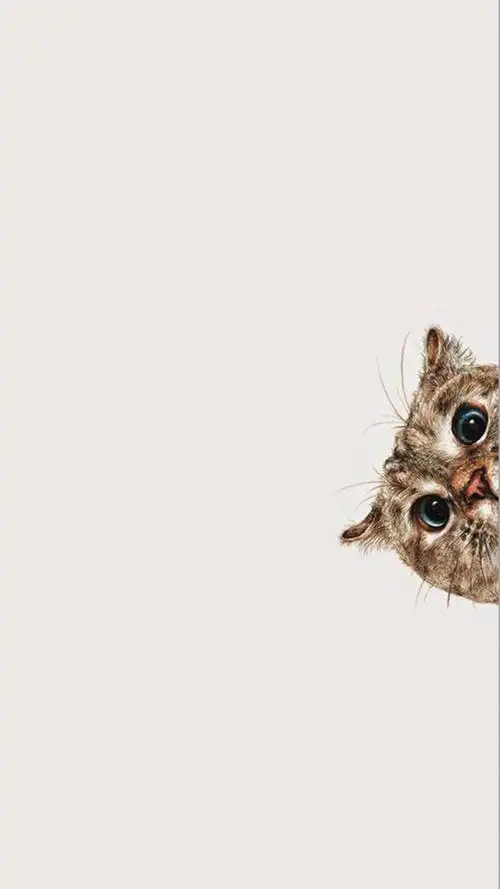 卡通猫h5背景素材