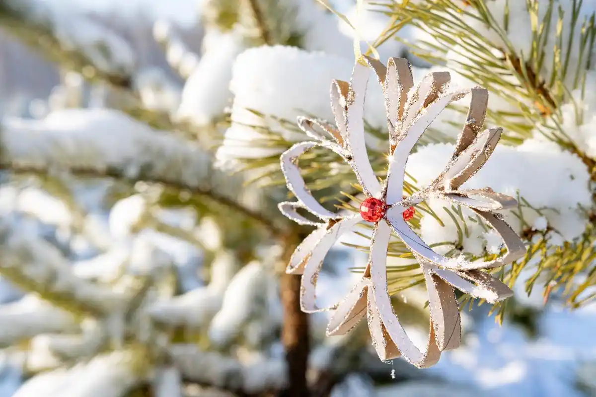 植物需采取保温,控制浇水,减少施肥等保护措施,以确保其安全过冬.