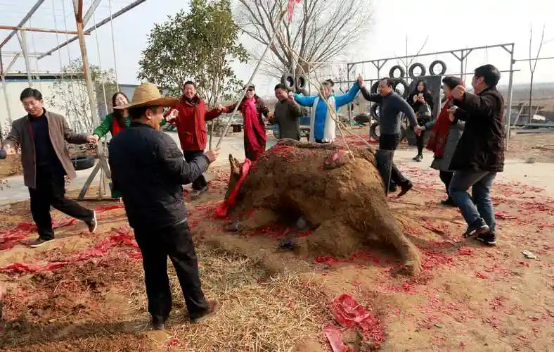 河南乡村立春现"鞭打春牛"习俗 场面热烈