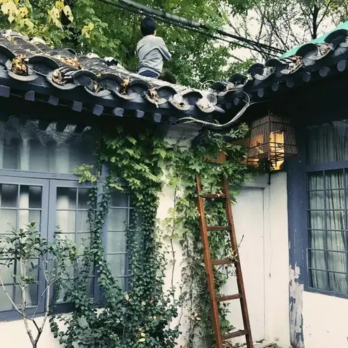 昕发现丨帝都文艺复古小院,周末探秘胡同生活好去处