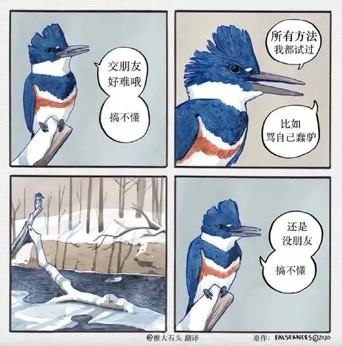 海鸥薯条系列  多图预警