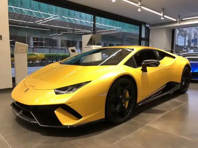 兰博基尼金色小牛,疯狂的代表