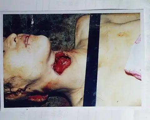 "白银连环杀人案"绝对是轰动全国的一宗.