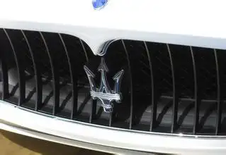 应该是意大利豪华跑车品牌"玛莎拉蒂"的车标,例图