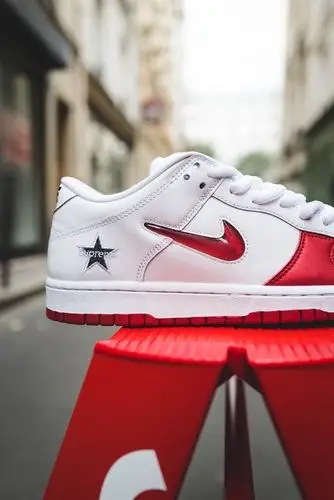 supremexnikesbdunklow