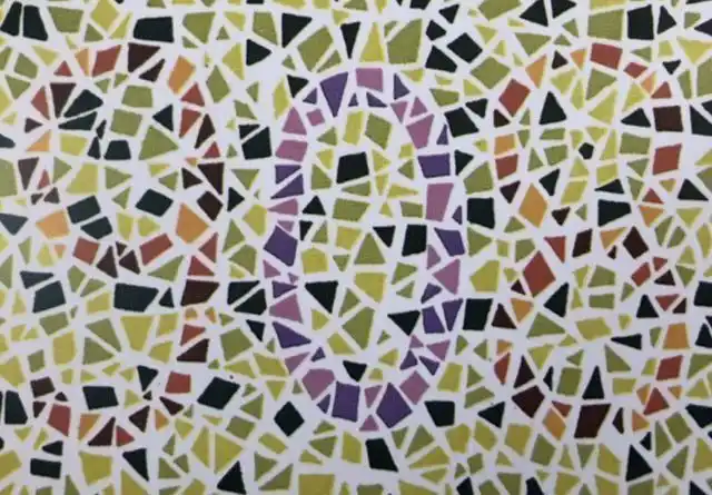 首先第1张色盲检测图,当你在看到这张图片的时候,都会特别的了解它的