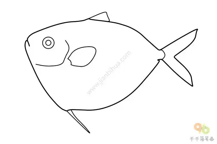 鲳鱼鱼简笔画