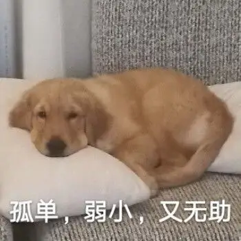 孤单,弱小,又无助