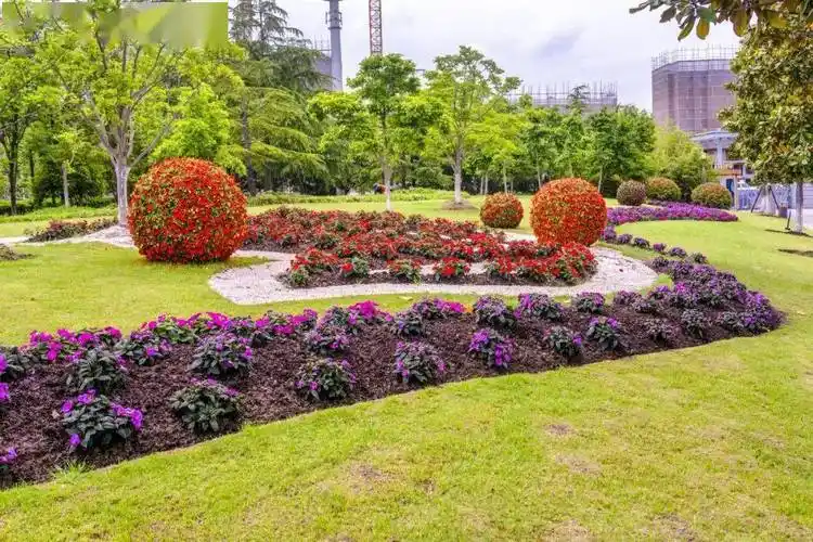 清丽之径岭南公园—繁花似锦黄兴公园—对称式自然花境静安中环公园