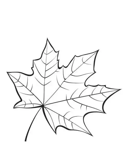 树叶怎么画,树叶怎么画 一步一步(幼儿园小朋友的画画作业资料)