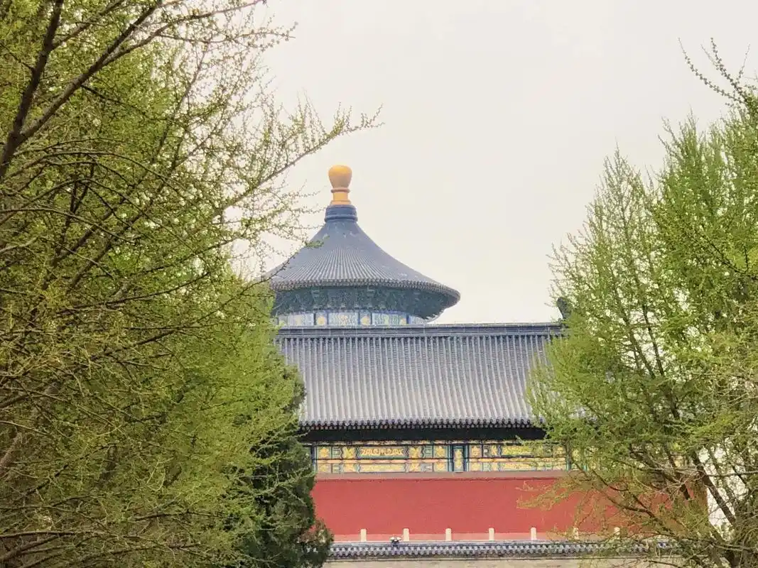 祈年殿仅用沉香木柱和枋桷相互衔接支撑屋顶,殿内有楠 - 抖音