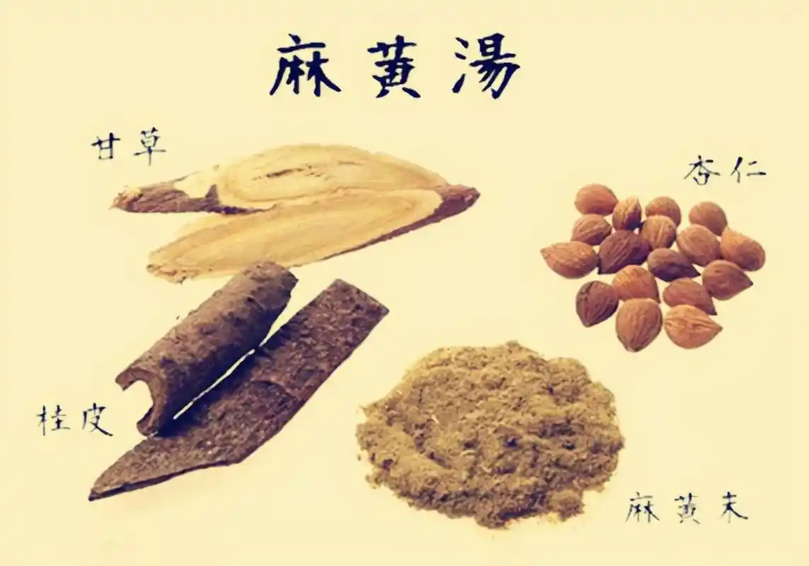 浅说仲圣太阳发汗解表第一药方麻黄汤