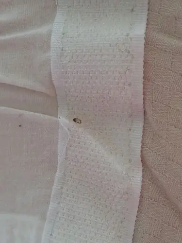 床靠背上的这个是什么虫?