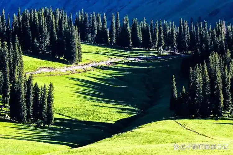 六月中旬去北疆,喀纳斯-伊犁大环线15天自驾游,应该怎么玩!