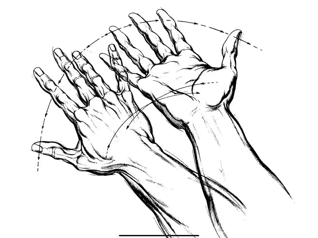 速写难点,手部.#速写人物 #美术生 #集训 #草稿流 #人 - 抖音