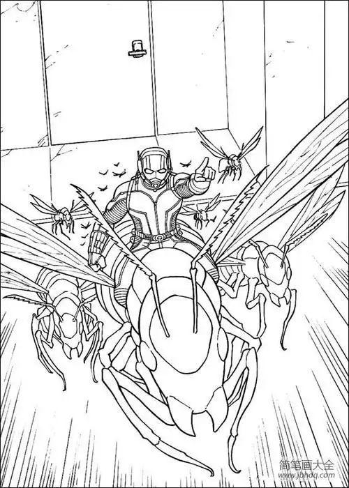 电影蚁人人物简笔画图片3动漫人物简笔画-简笔画大全