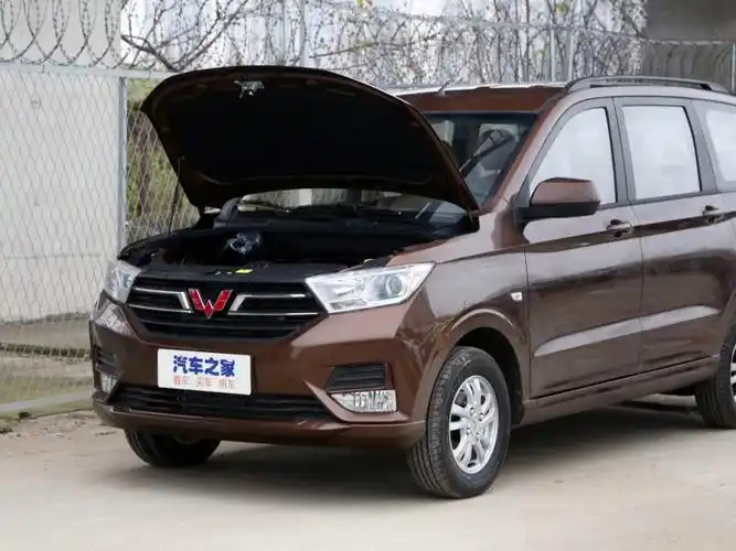 上汽通用五菱 五菱宏光 2021款 1.5l改款 s舒适型 电动助力lar