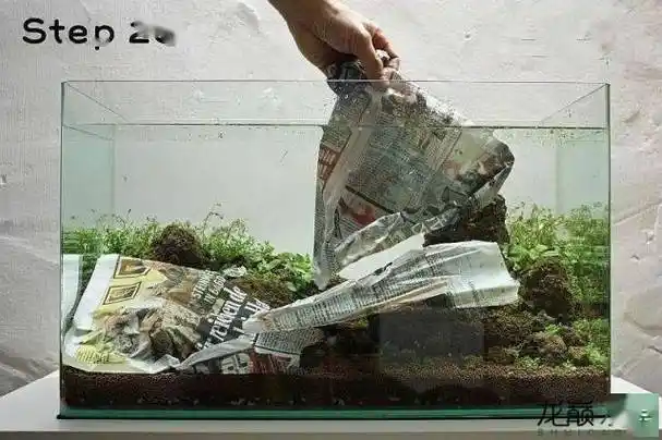 21步完成开缸,精确指导草缸小白入坑_水草_种植_造景