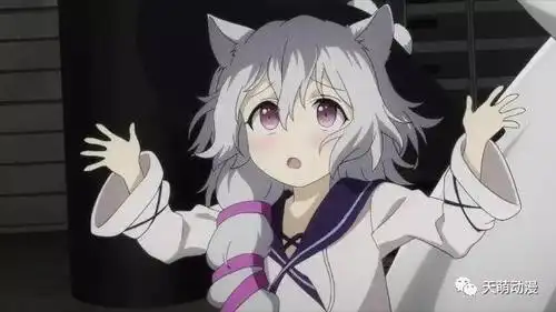 二次元盘点御姐萝莉各种属性的10大猫娘