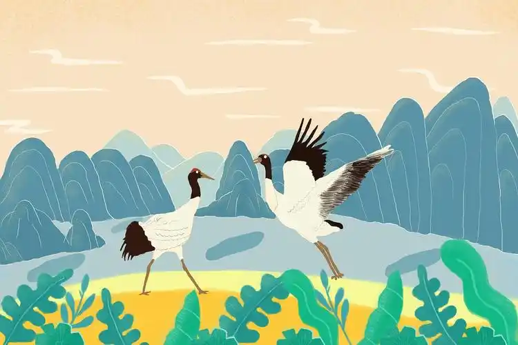 仙鹤风景插画|插画|插画习作|z77989023 - 原创作品 - 站酷 (zcool)