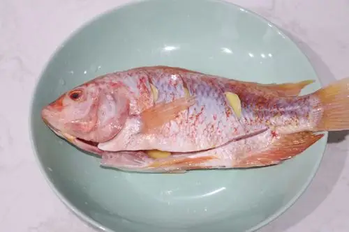 清蒸鲷鱼的做法