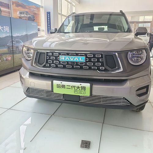 琦栗适用哈弗二代大狗前保险杠23款长城改装中网爆改装饰外观防虫网配