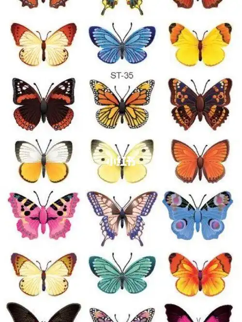 蝴蝶素材图片分享_素材_绘画_插画_色彩搭配_寻找小红书绘画大神_素材