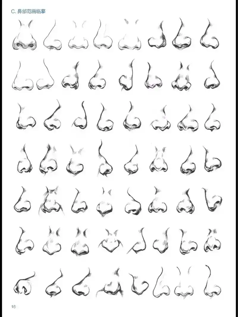 速写局部鼻子教学课件 - 抖音