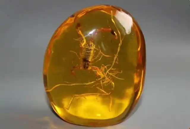 宝石汇:4点技巧,轻松教新手辨别虫珀真假!