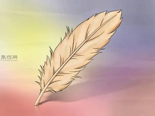 画卡通羽毛教程图解教你简笔画卡通羽毛的画法