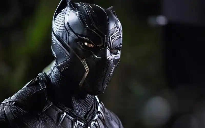 复仇者联盟黑豹,漫威,超级英雄,影视,高清壁纸,桌面图片-壁纸族