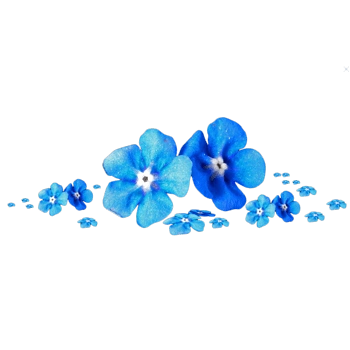 手绘蓝色花朵