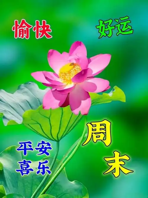 12.09周末早安,每一个清晨都带给你新的希望