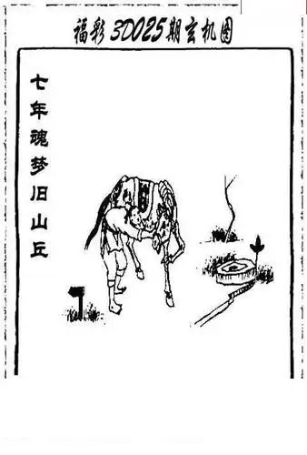 综合图汇总(2)025期2020年今天福彩3d图谜总汇