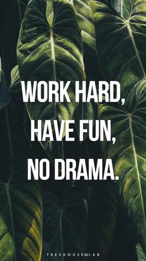 work hard, have fun, no dramma