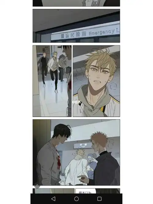 19天 #见一展正希   #贺天莫关山