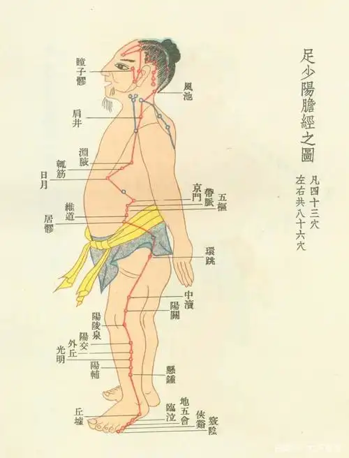 足少阳胆经.jpeg