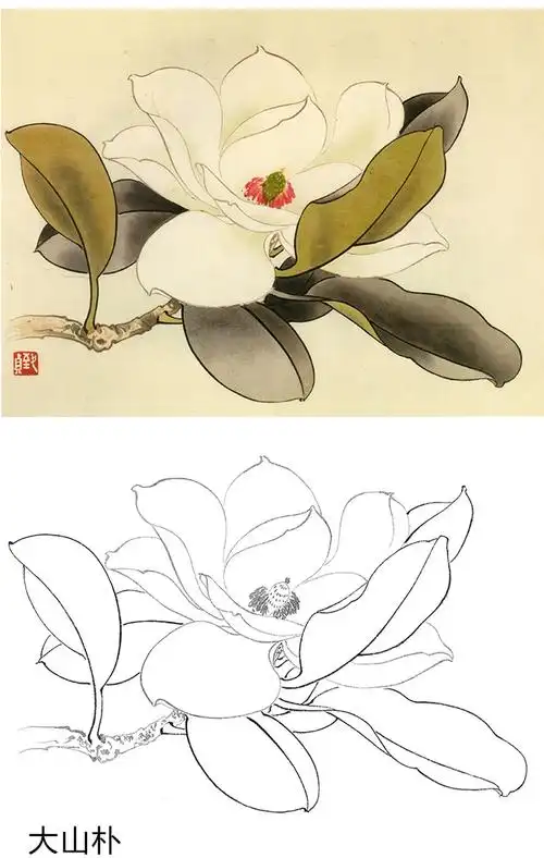 俞致贞工笔花鸟白描底稿花卉小品一套20幅册页jv65